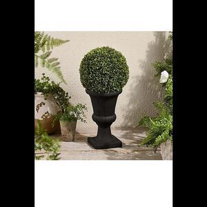 Garden Reflections 24"H Boxwood Sphere in Planter Black Modern